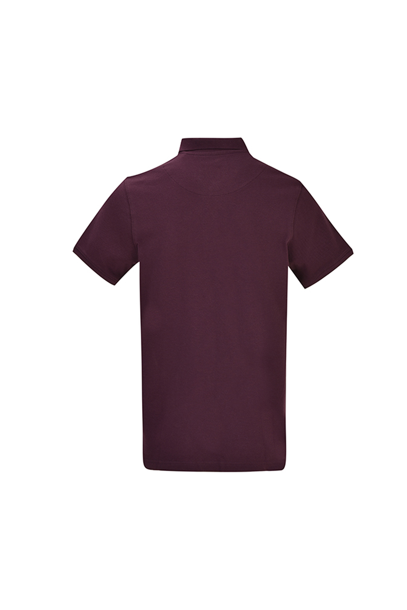 پولوشرت آستین کوتاه بیسیک