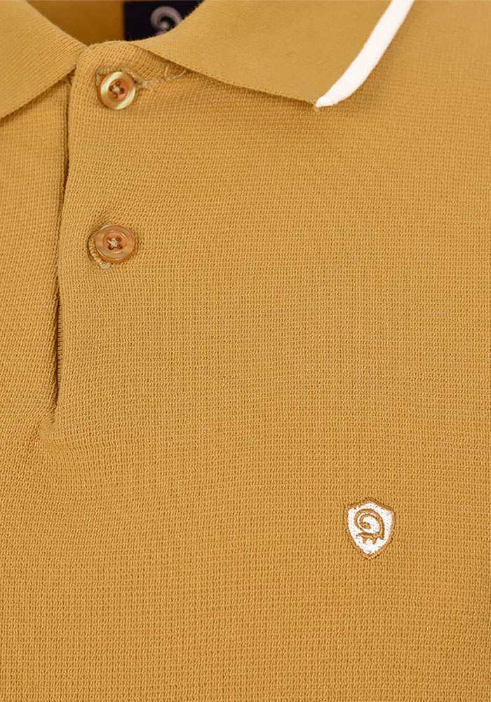 پلو شرت قاپک کشبافت