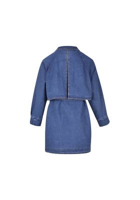 رویه جین آستین رگلان