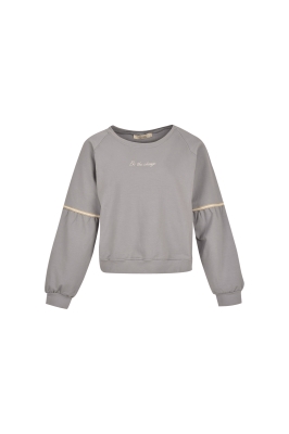 تی شرت آستین بلند دورس طوسی