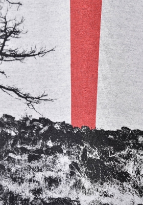 تی شرت آستین کوتاه چاپی