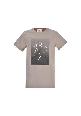 تی شرت آستین کوتاه مردانه چاپی و گلدوزی