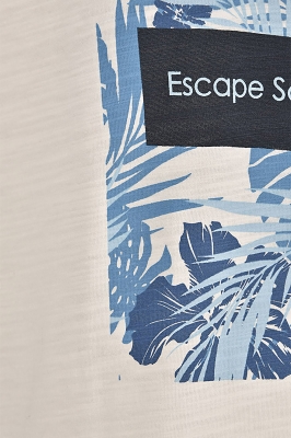 تی شرت مردانه آستین کوتاه چاپی