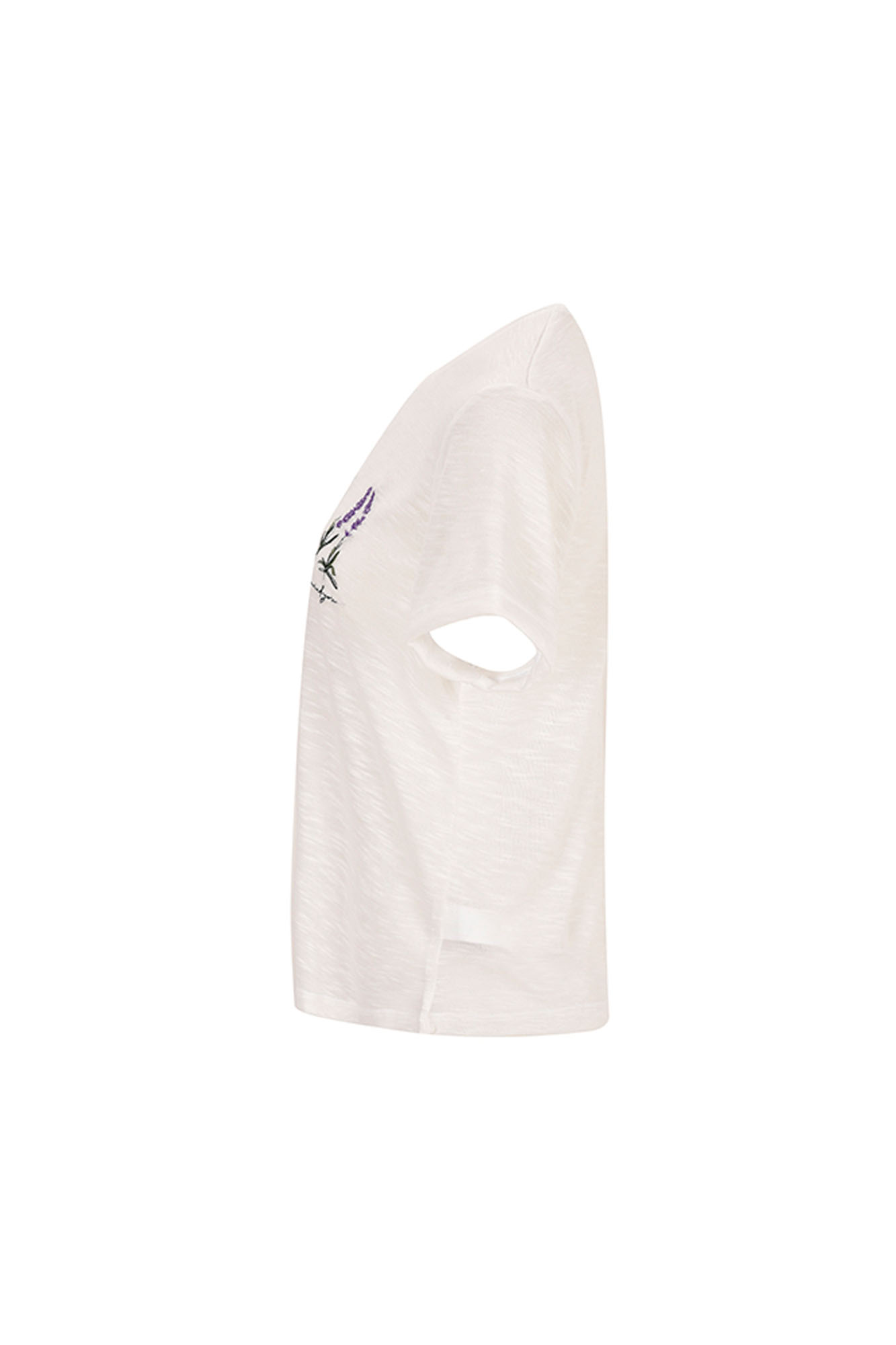 تی شرت زنانه آستین کوتاه