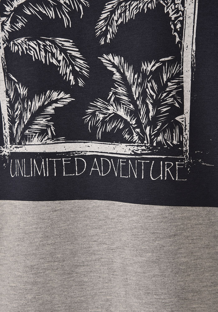 تی شرت مردانه آستین کوتاه چاپی