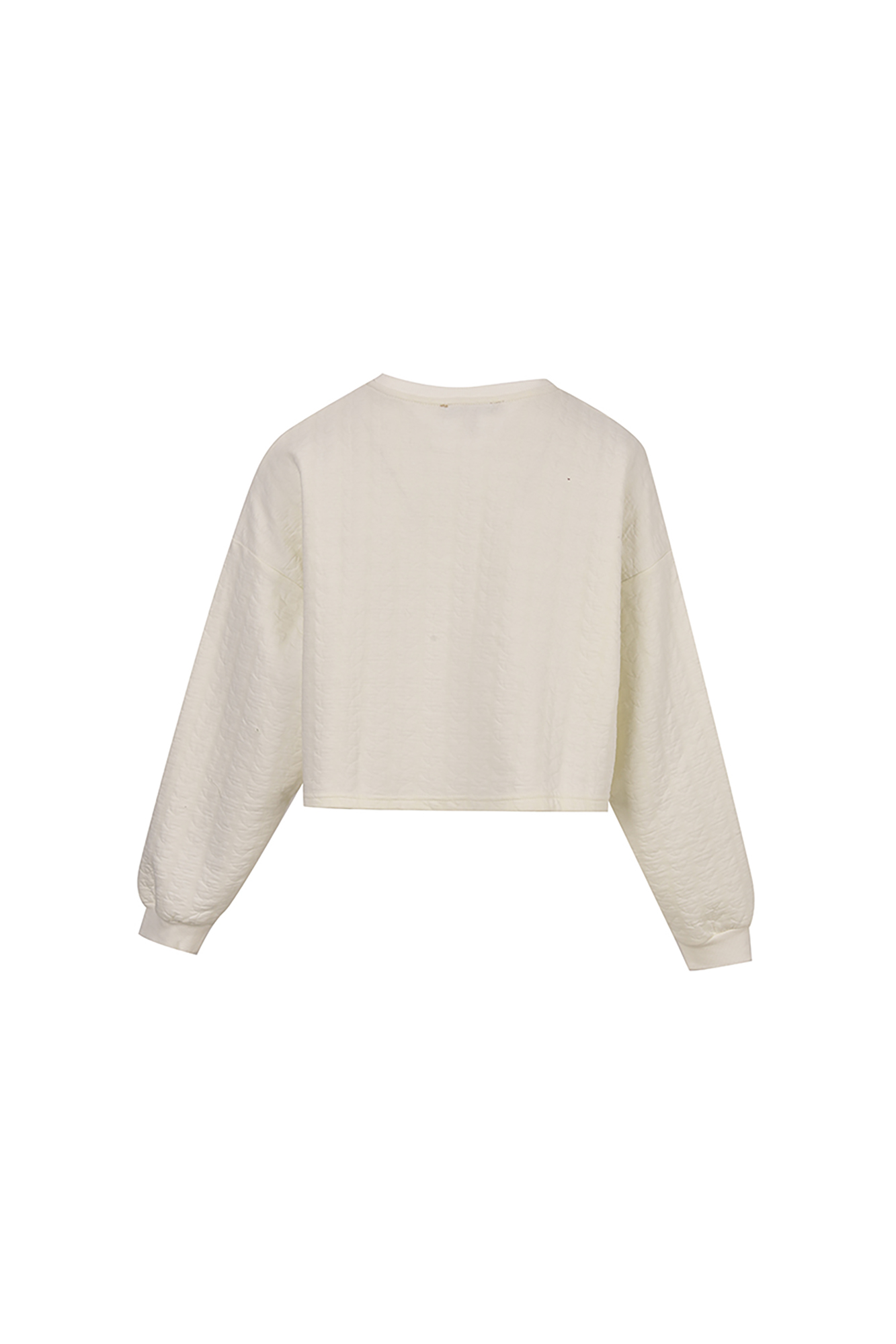 تی شرت آستین بلند