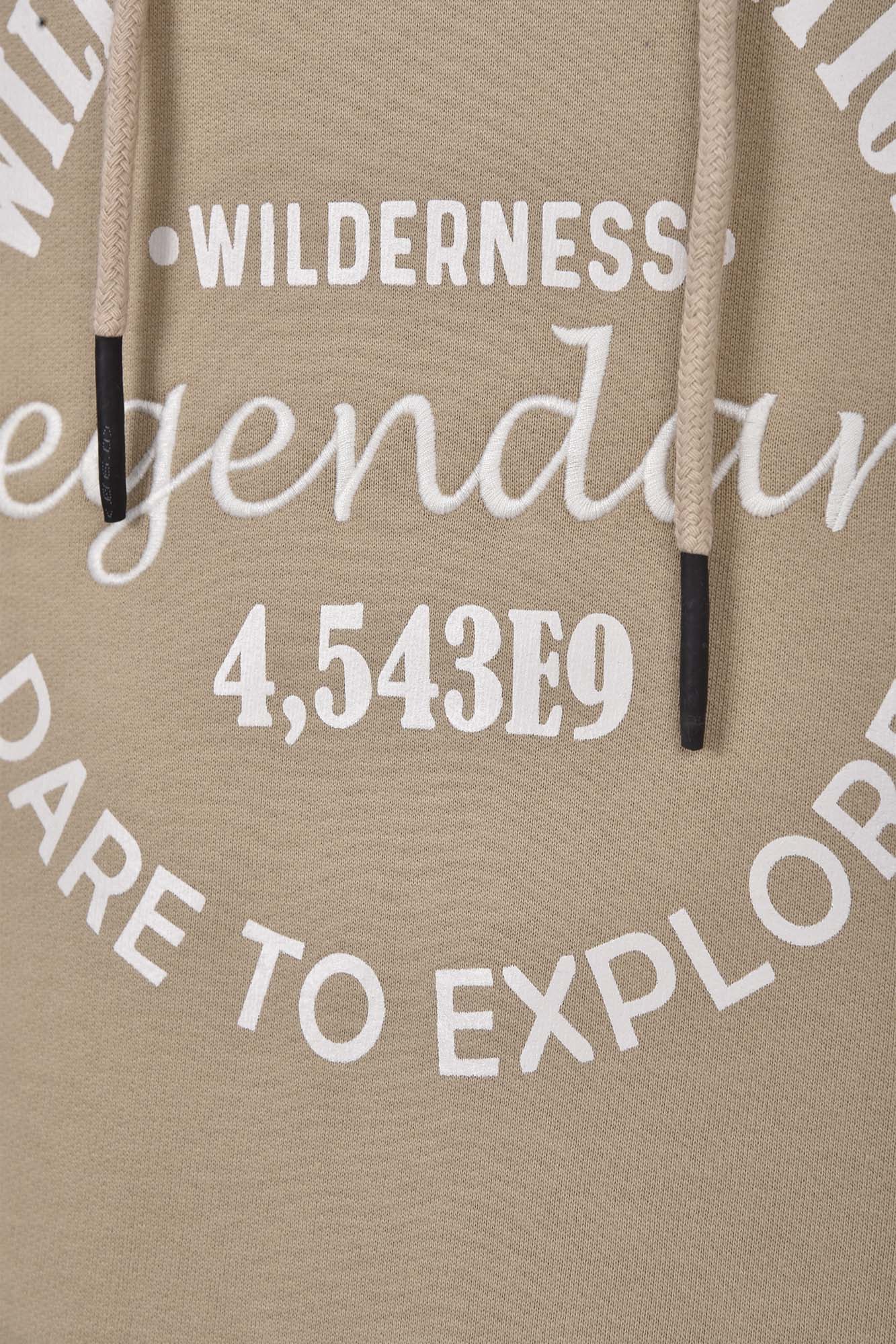 هودی مردانه چاپدار