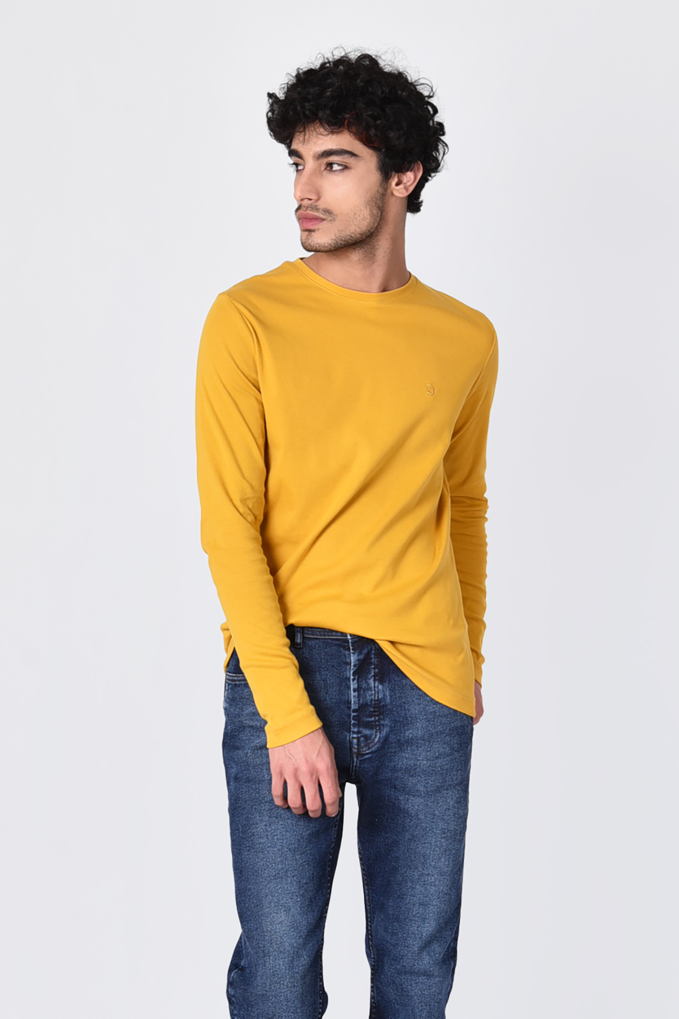 تیشرت آستین بلند یقه گرد