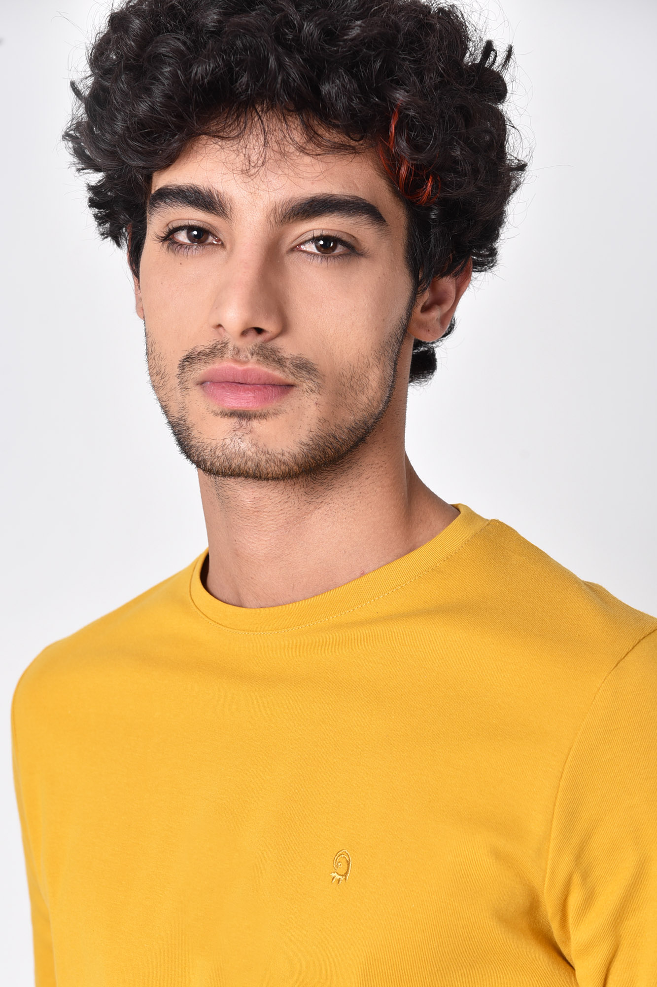 تیشرت آستین بلند یقه گرد