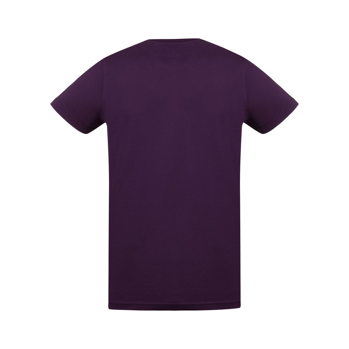 تیشرت آستین کوتاه یقه گرد بیسیک