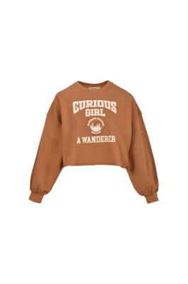 تیشرت آستین بلند چاپی