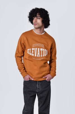 تیشرت آستین بلند گلدوزی دار