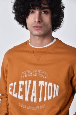 تیشرت آستین بلند گلدوزی دار