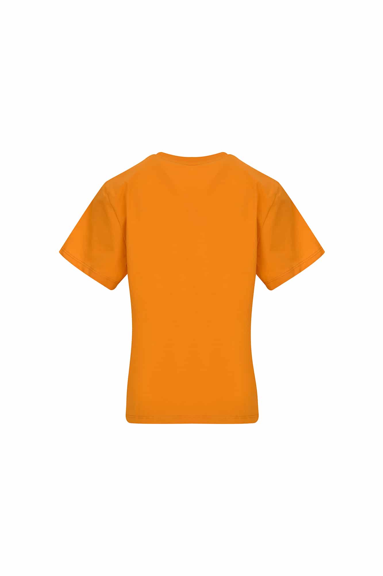 تیشرت آستین کوتاه بیسیک