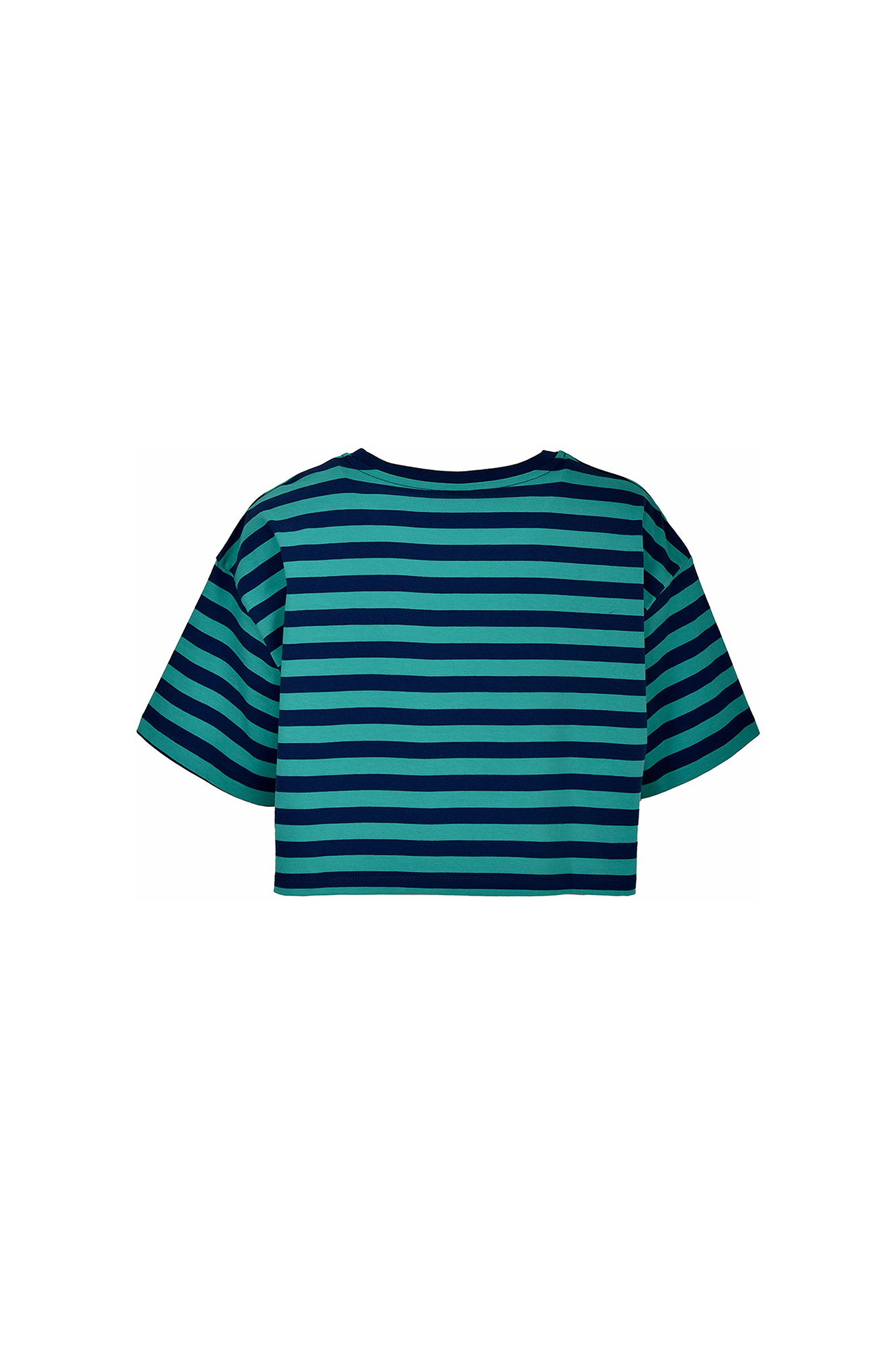 تیشرت کراپ گلدوزی دار