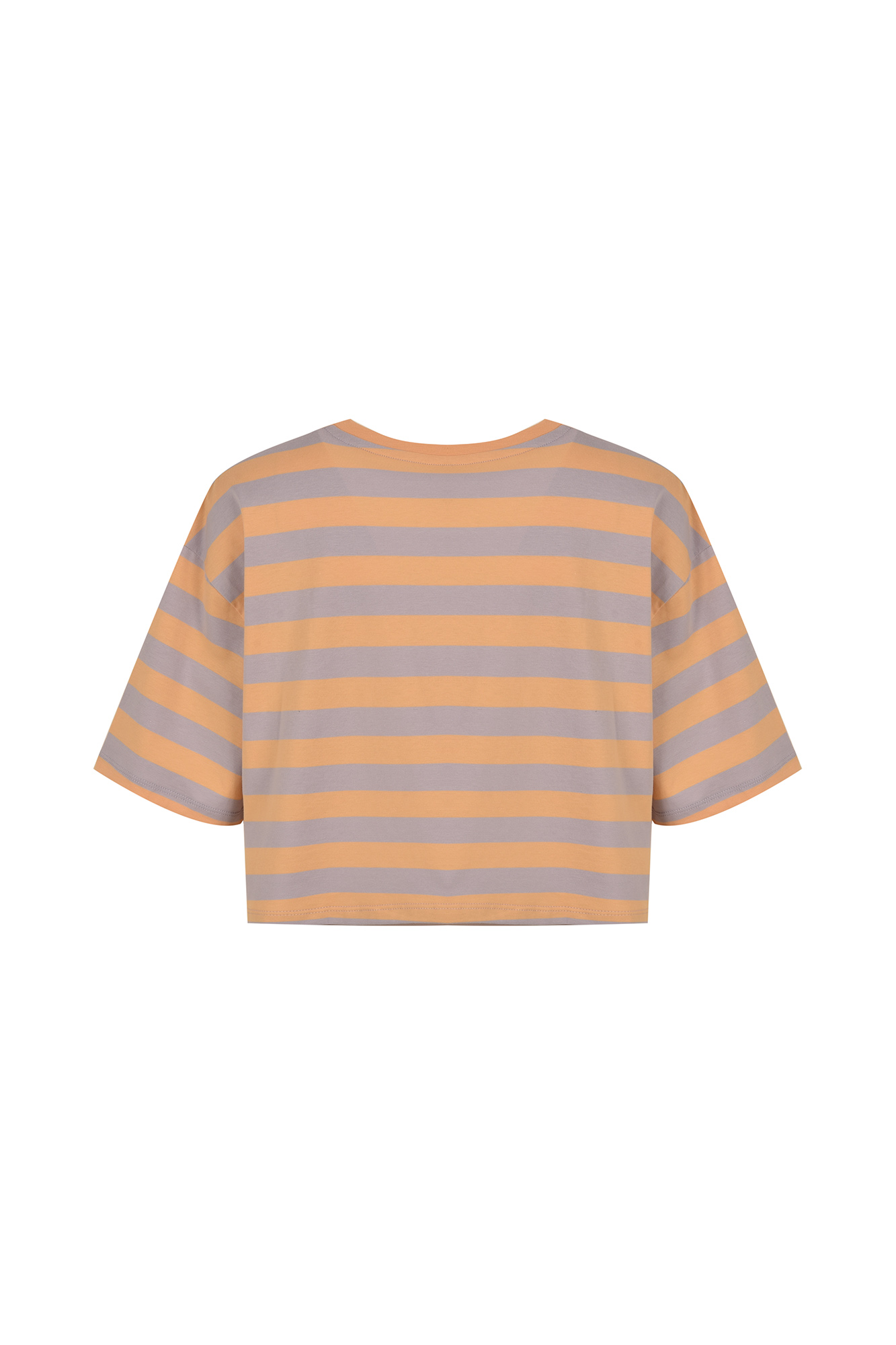 تیشرت کراپ گلدوزی دار