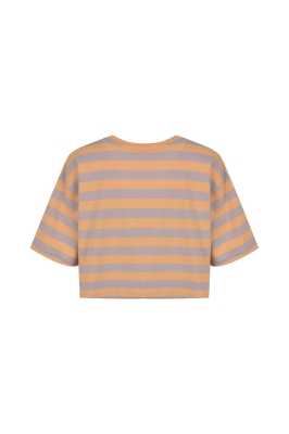 تیشرت کراپ گلدوزی دار