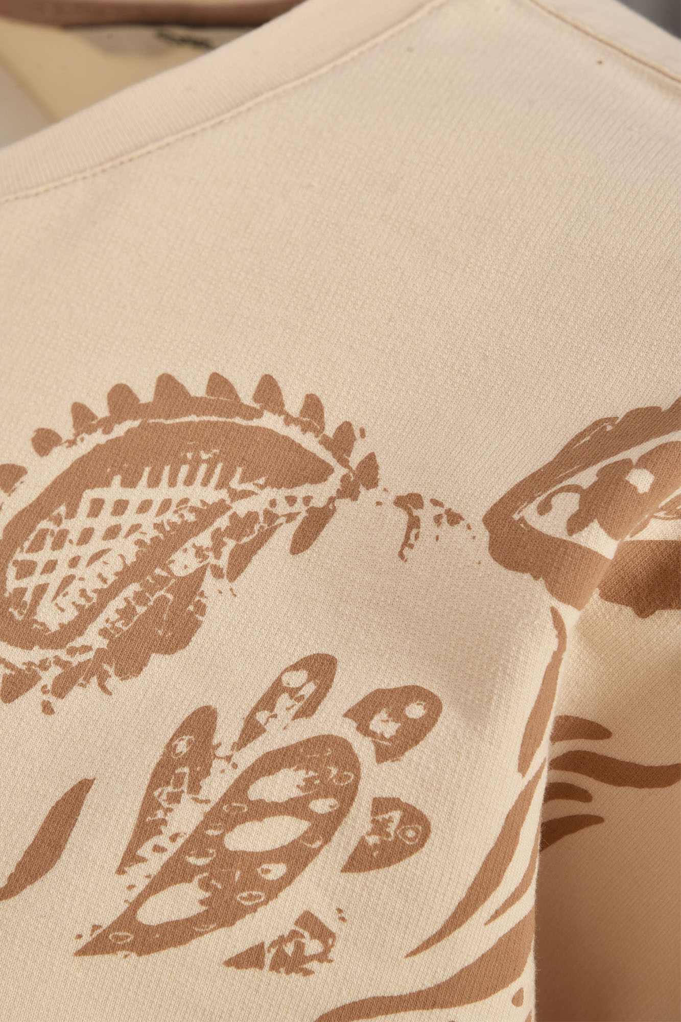 تیشرت آستین بلند چاپی