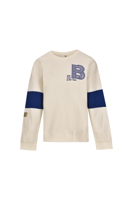 تیشرت آستین بلند چاپ و گلدوزی دار