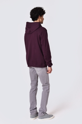 هودی آستین رگلان