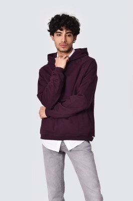 هودی آستین رگلان