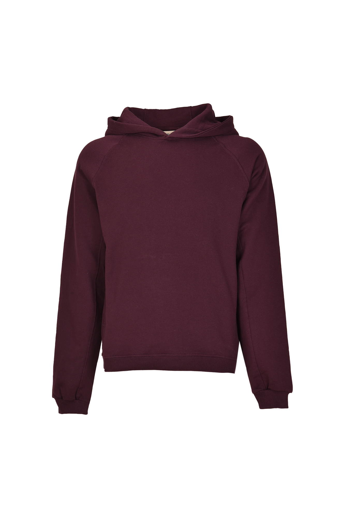 هودی آستین رگلان