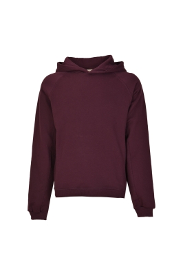 هودی آستین رگلان