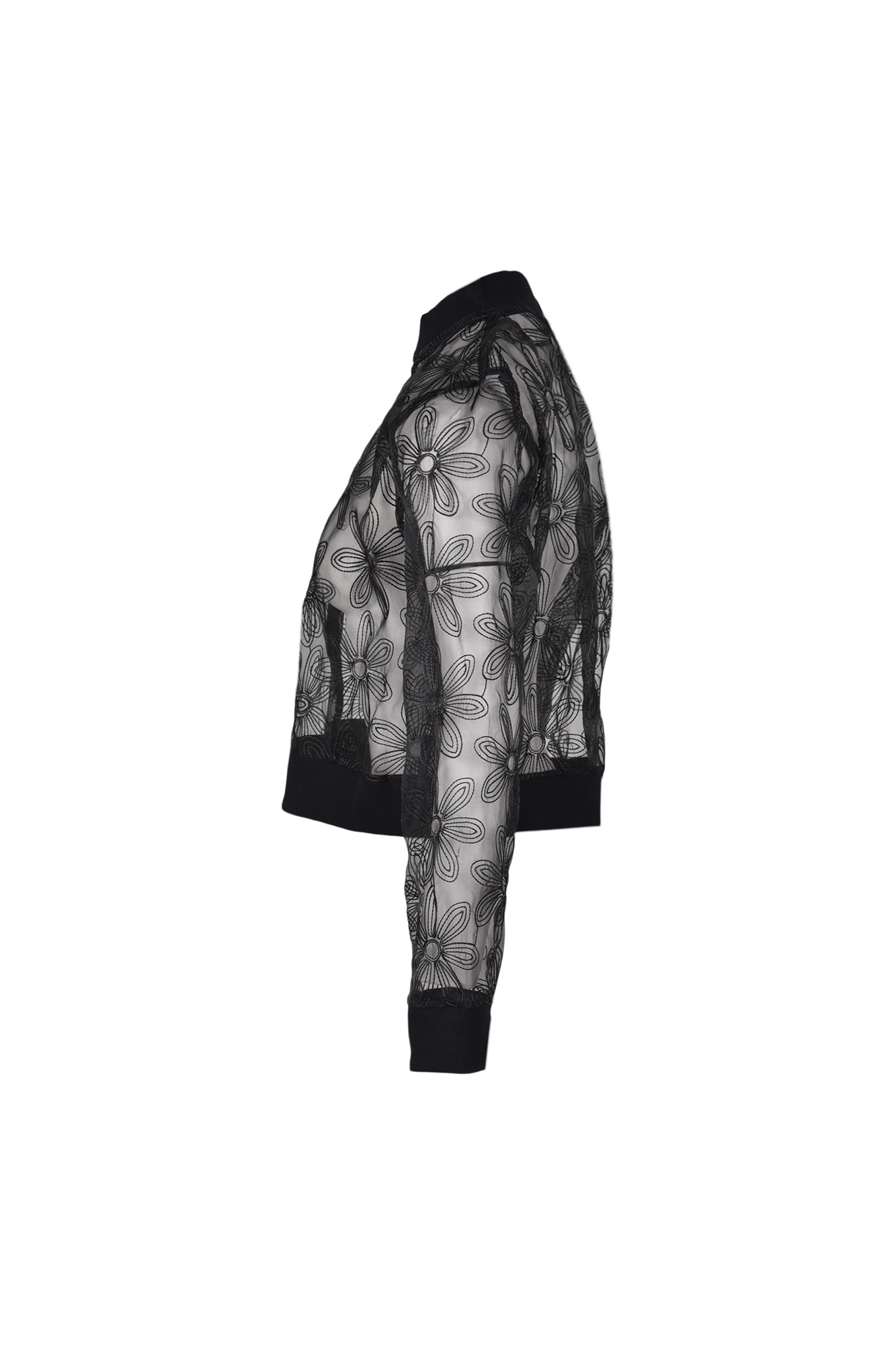 بامبر جکت ارگانزا