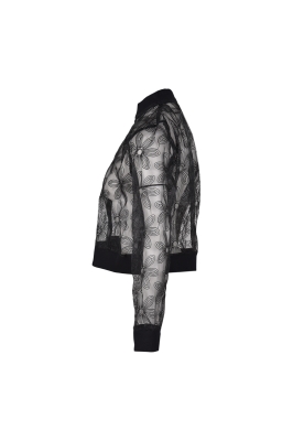 بامبر جکت ارگانزا