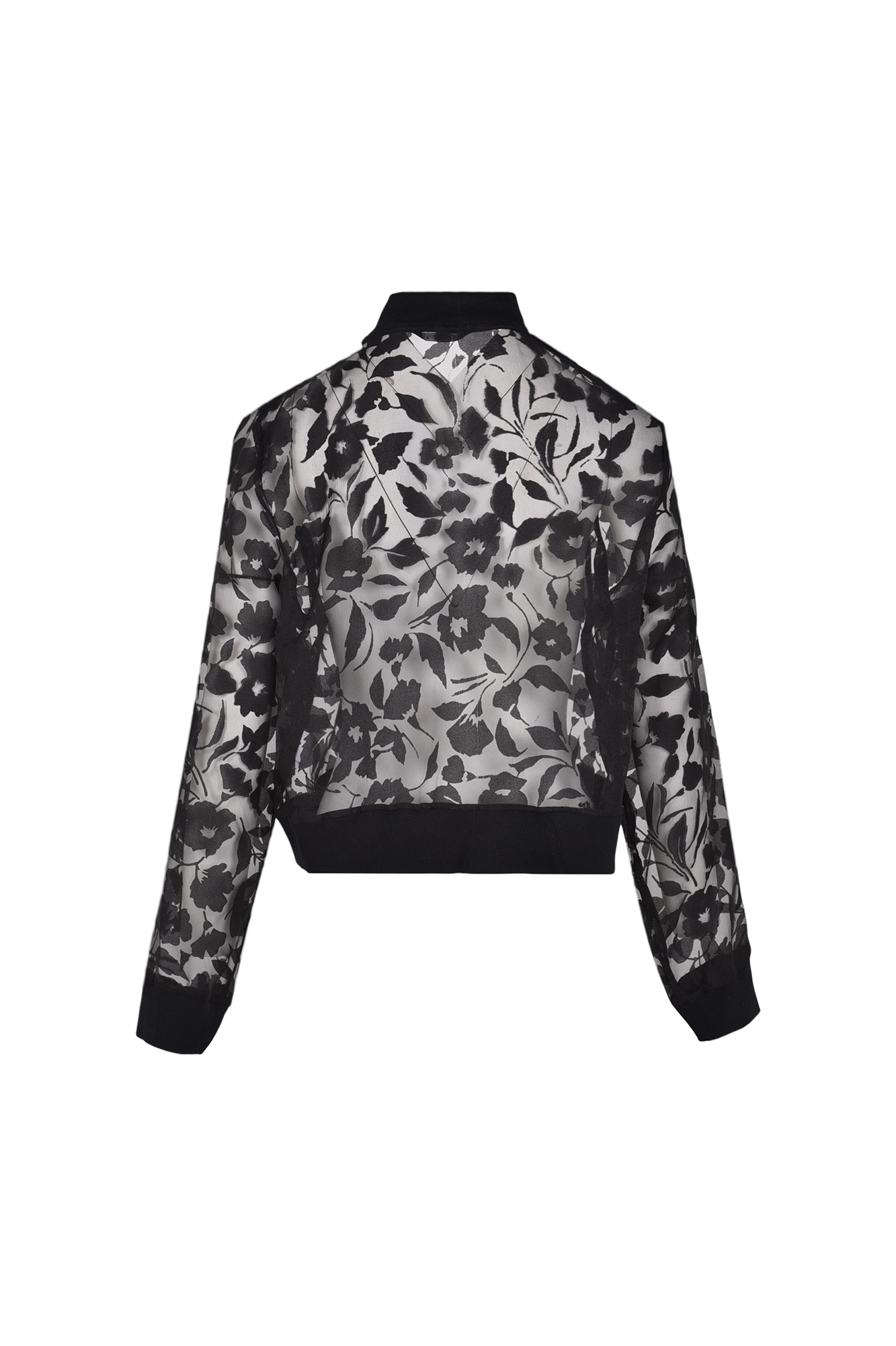 بامبر جکت ارگانزا