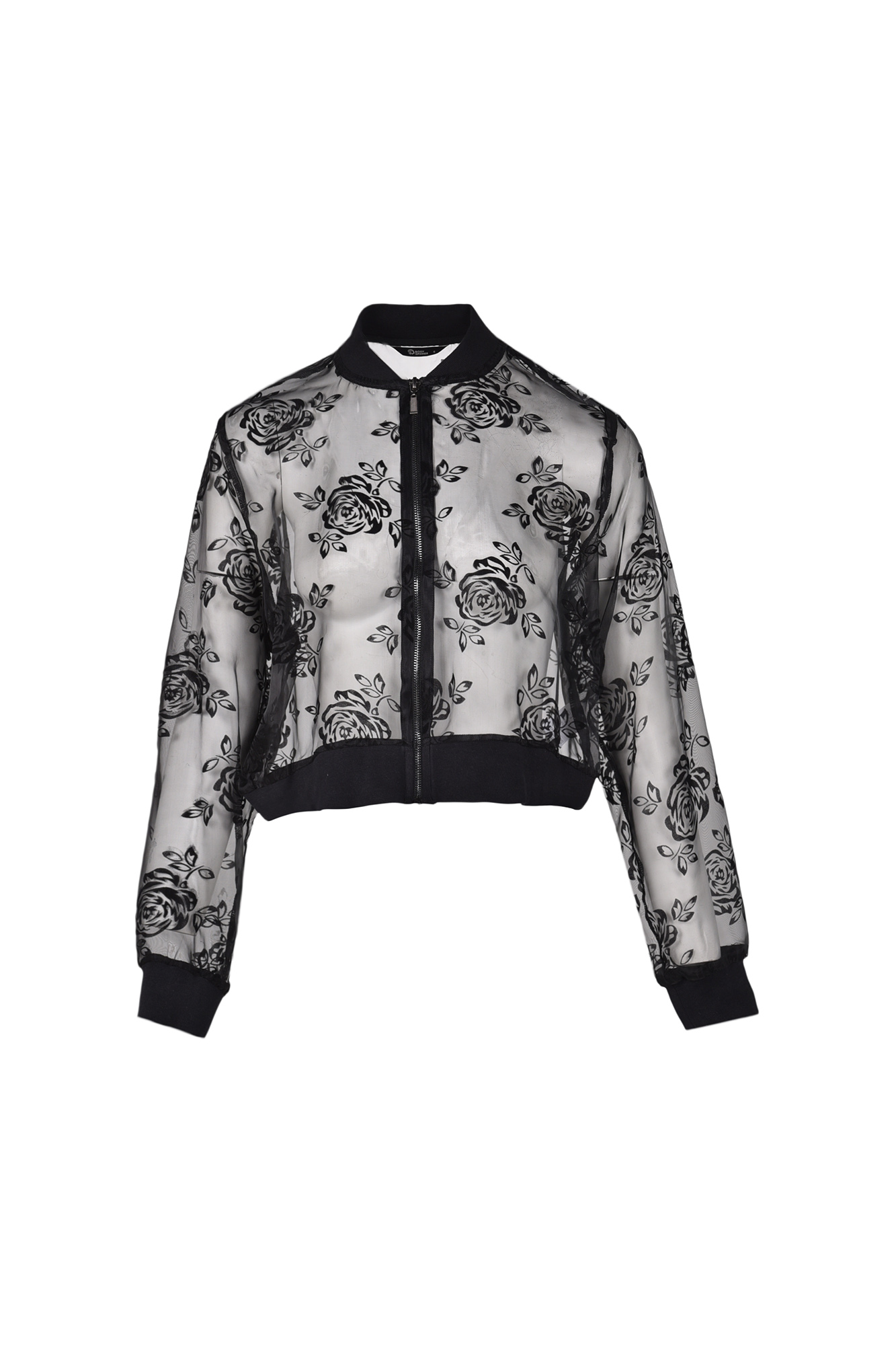 بامبر جکت ارگانزا