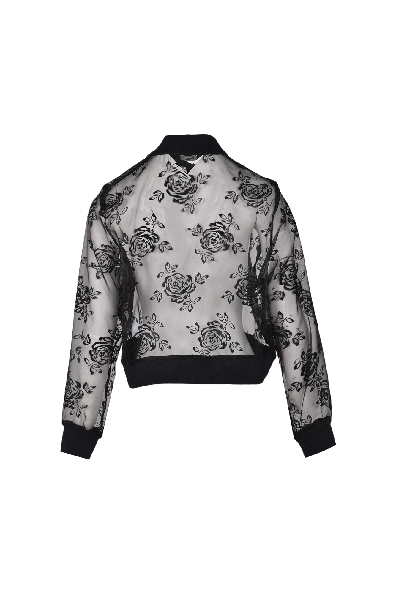 بامبر جکت ارگانزا