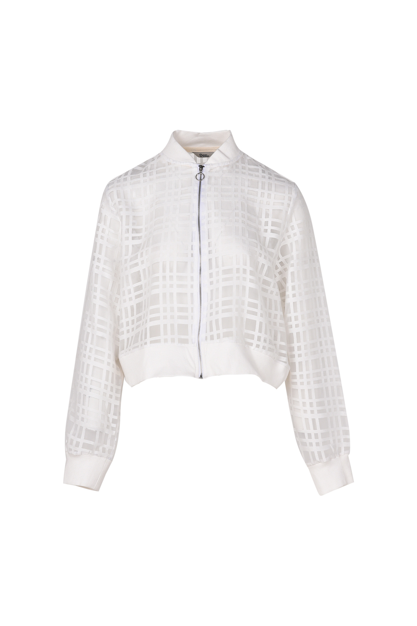 بامبر جکت ارگانزا