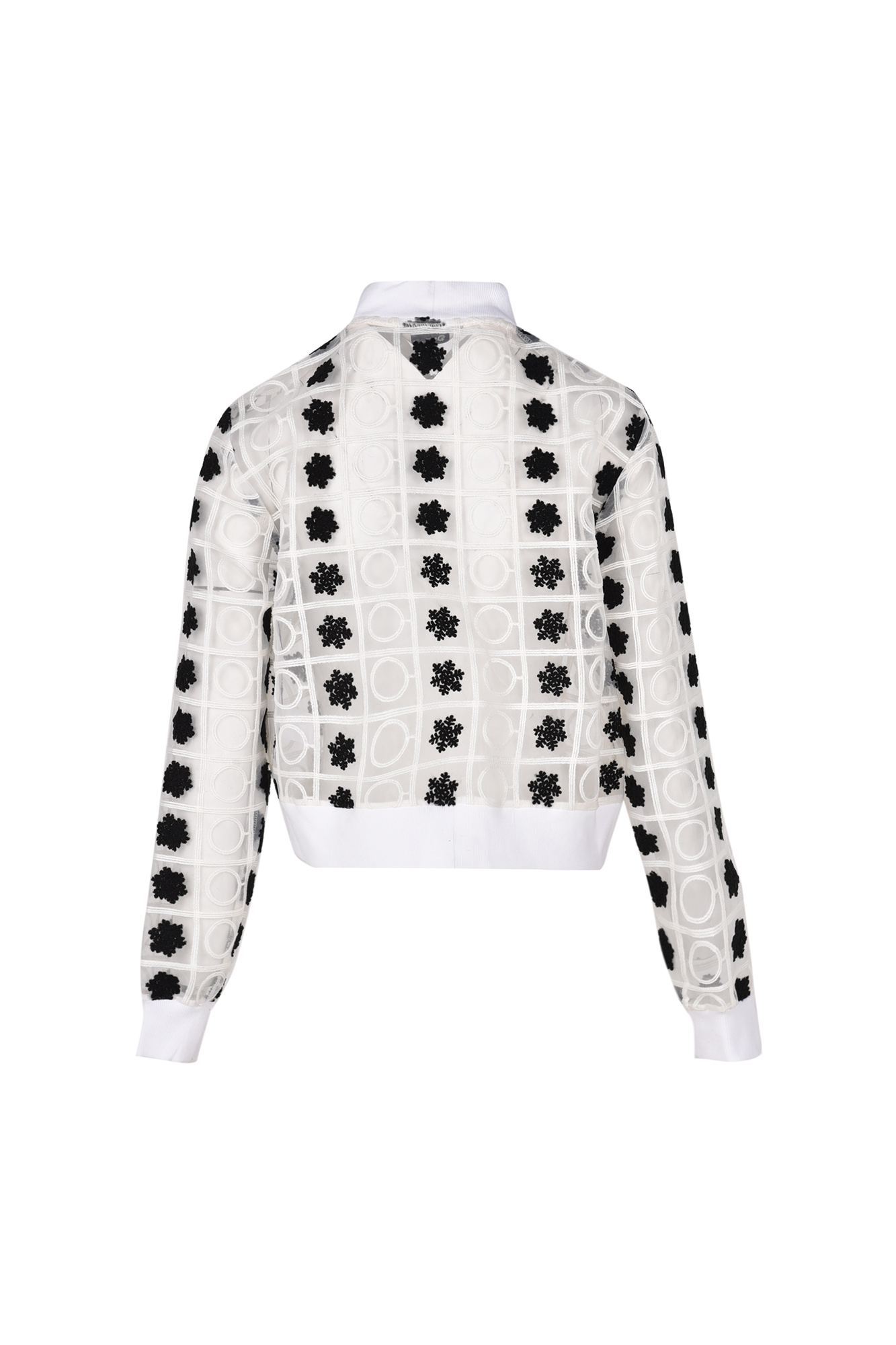 بامبر جکت ارگانزا