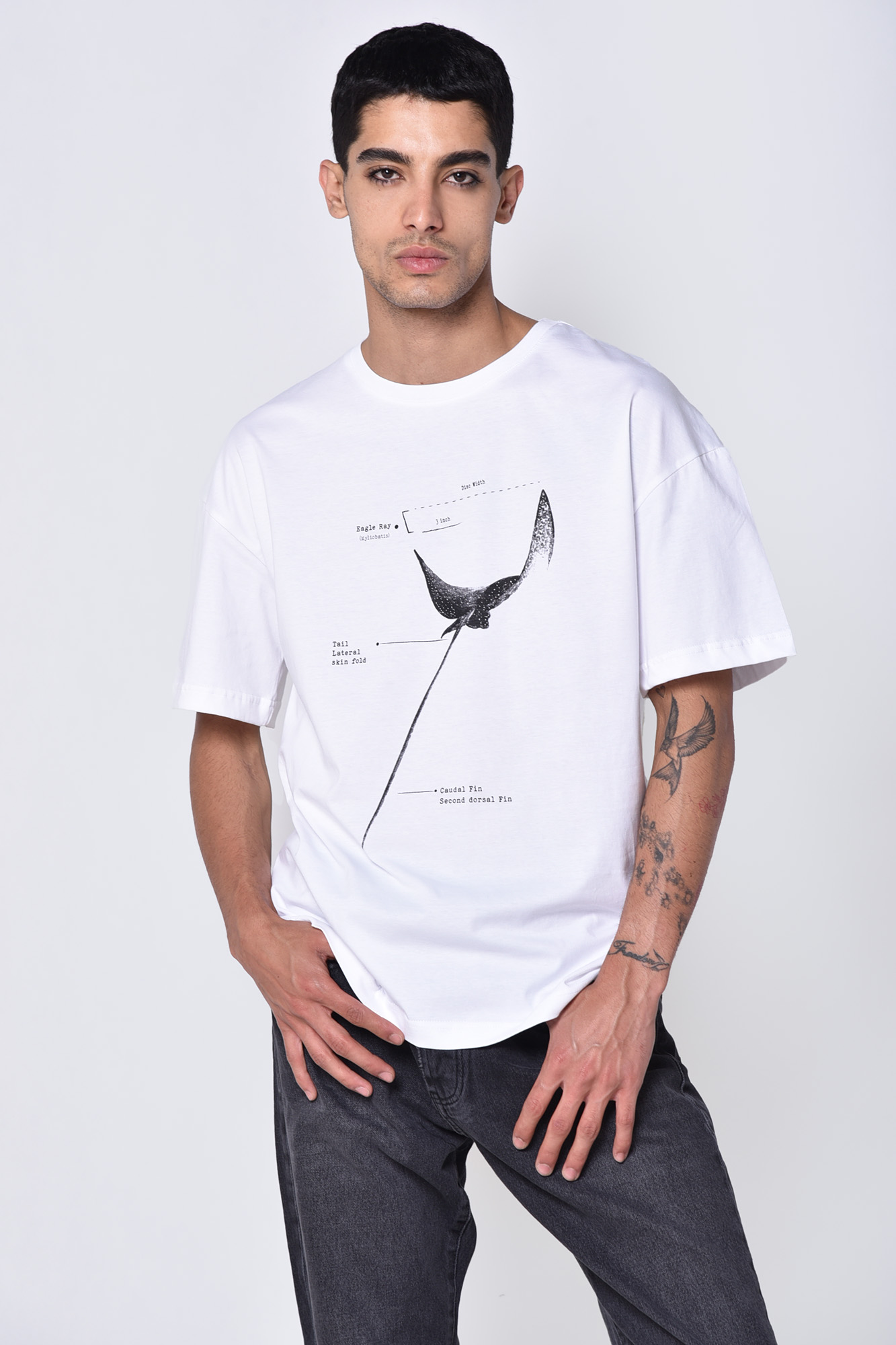 تیشرت آستین کوتاه چاپی