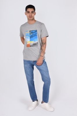 تیشرت آستین کوتاه چاپی