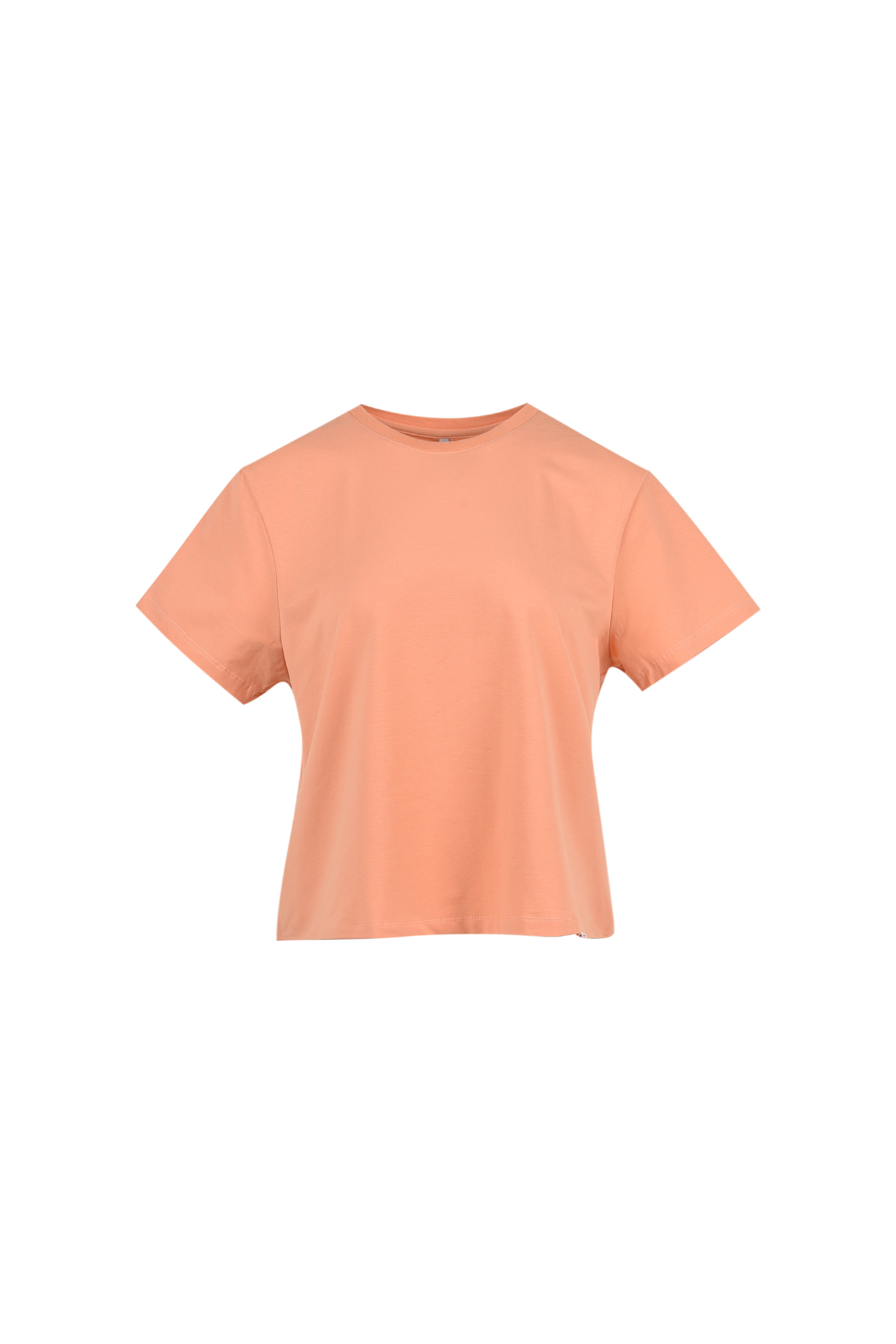 تیشرت آستین کوتاه بیسیک