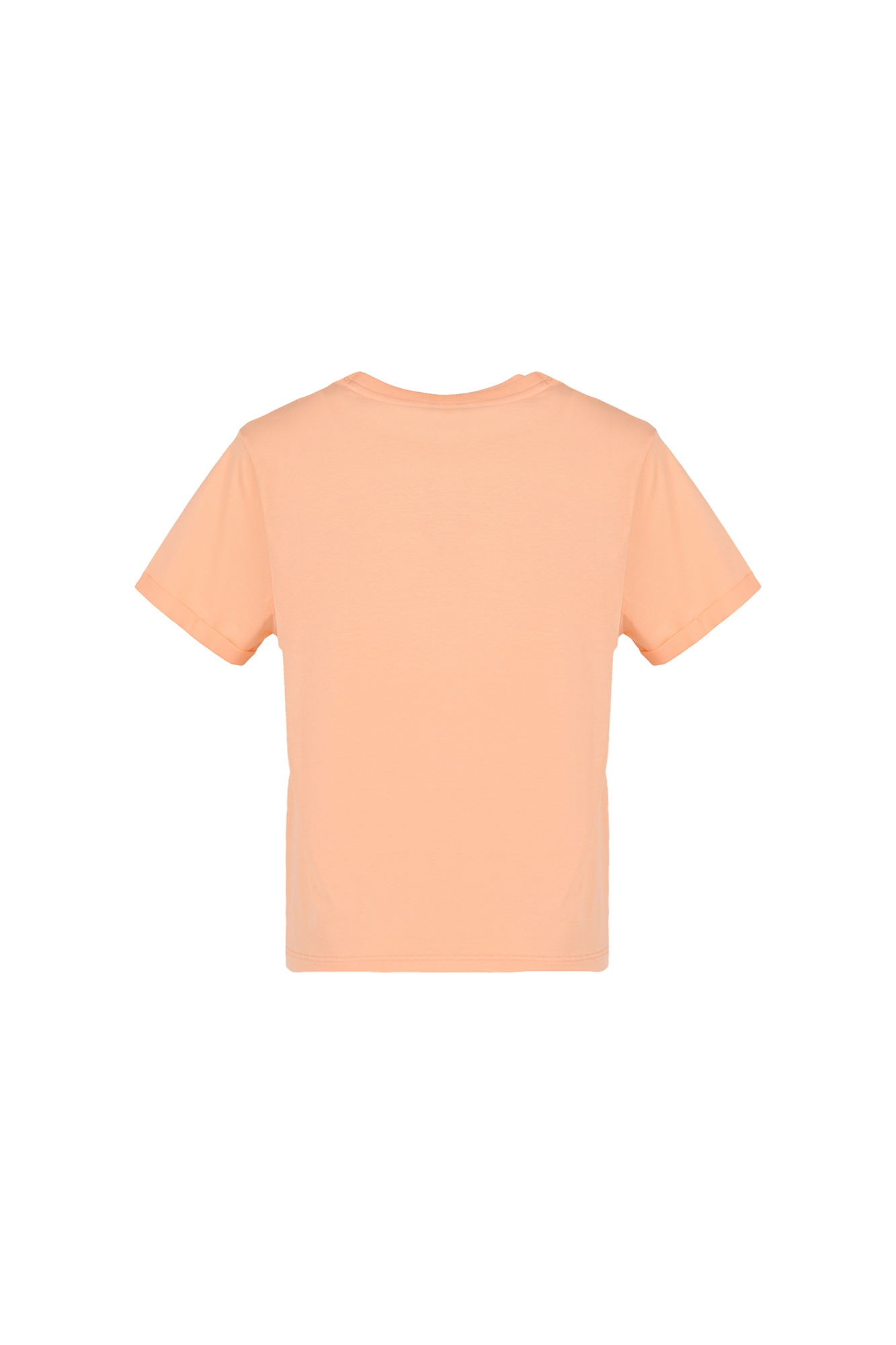 تیشرت آستین کوتاه چاپ و گلدوزی زنانه