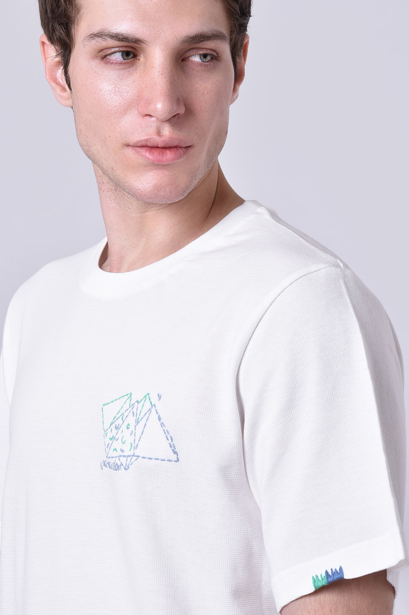 تیشرت آستین کوتاه گلدوزی مردانه