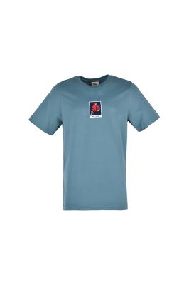 تیشرت آستین کوتاه گلدوزی