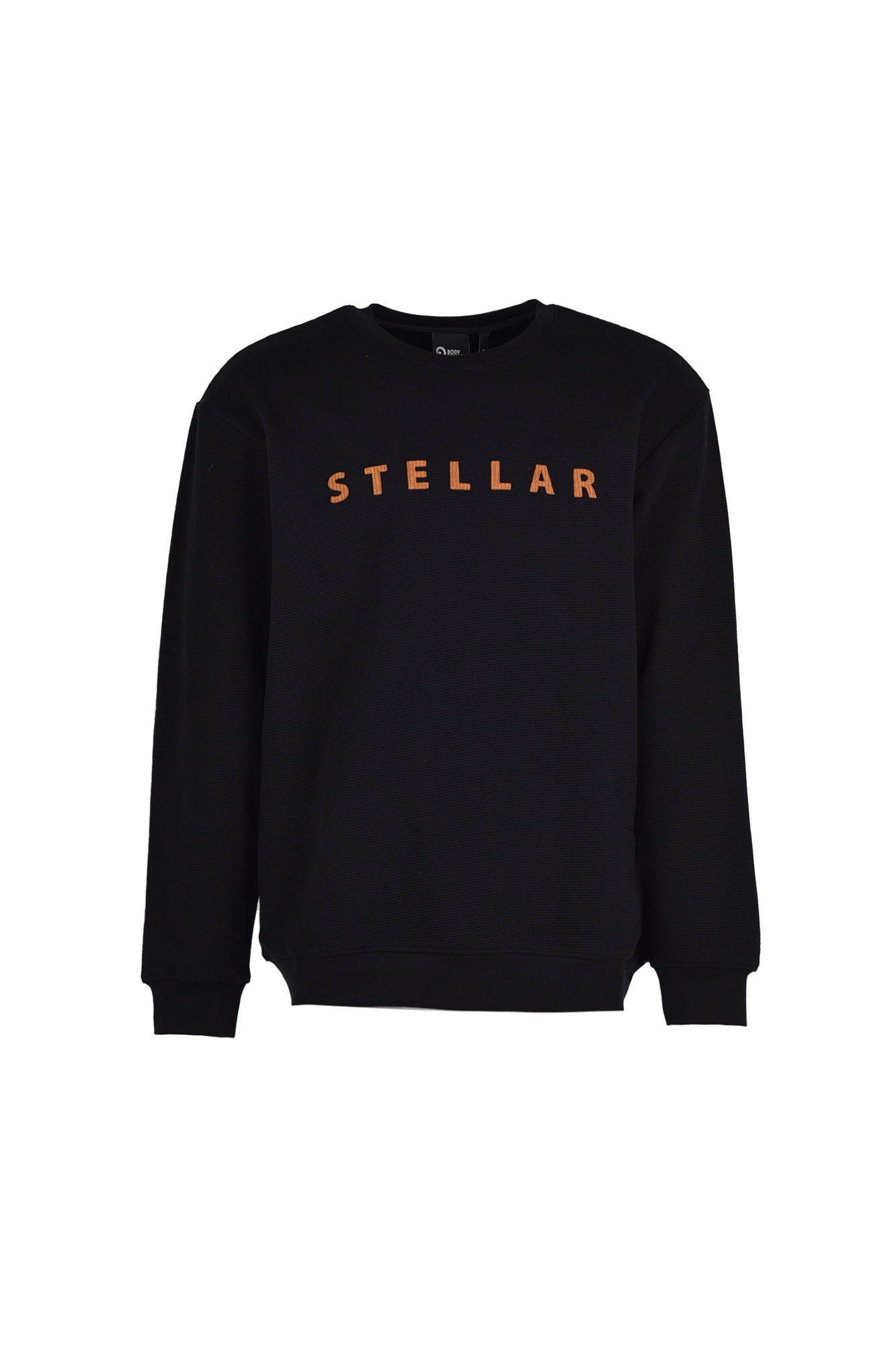 تیشرت آستین بلند گلدوزی