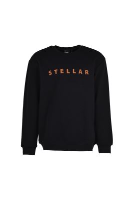 تیشرت آستین بلند گلدوزی