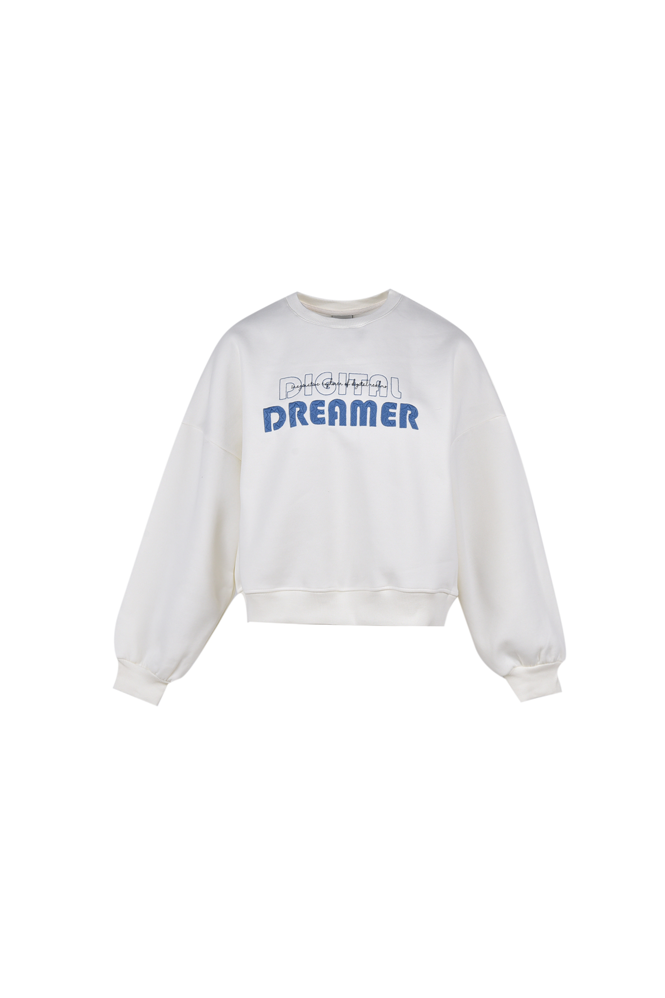 سوئیشرت گلدوزی