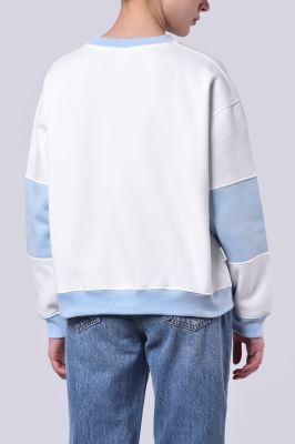 سوئیشرت گلدوزی