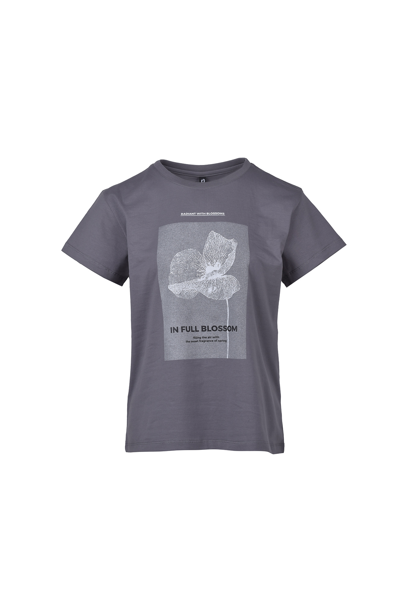 تیشرت آستین کوتاه چاپی