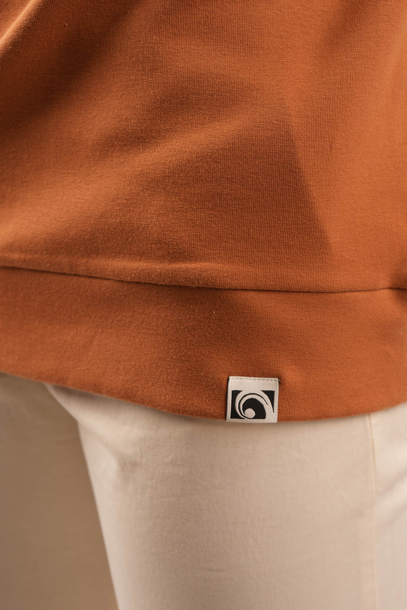 تیشرت آستین بلند یقه اسکی ساده