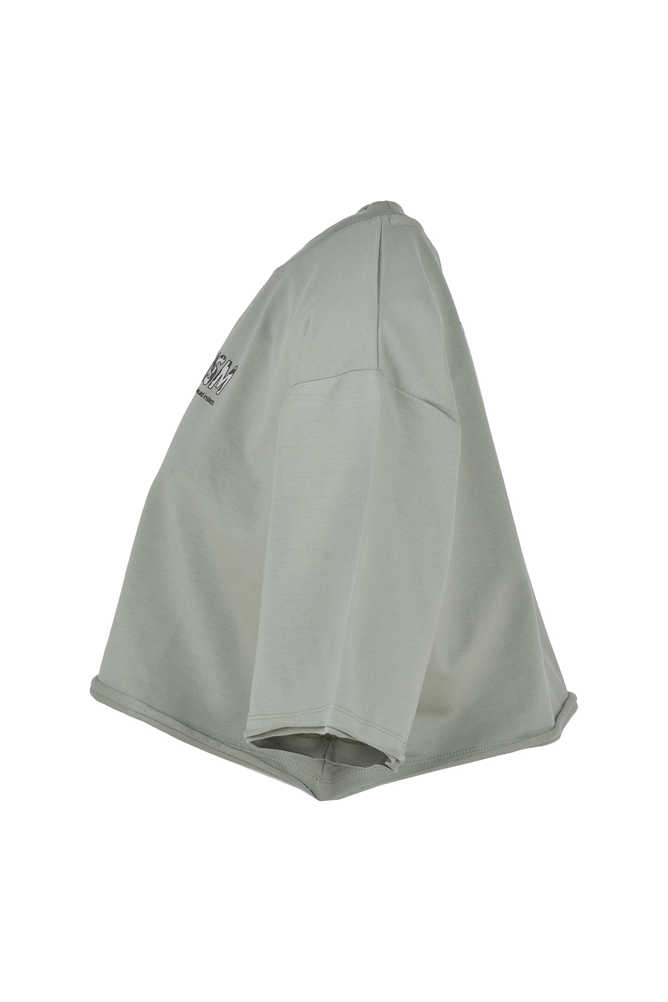 تیشرت آستین کوتاه چاپی