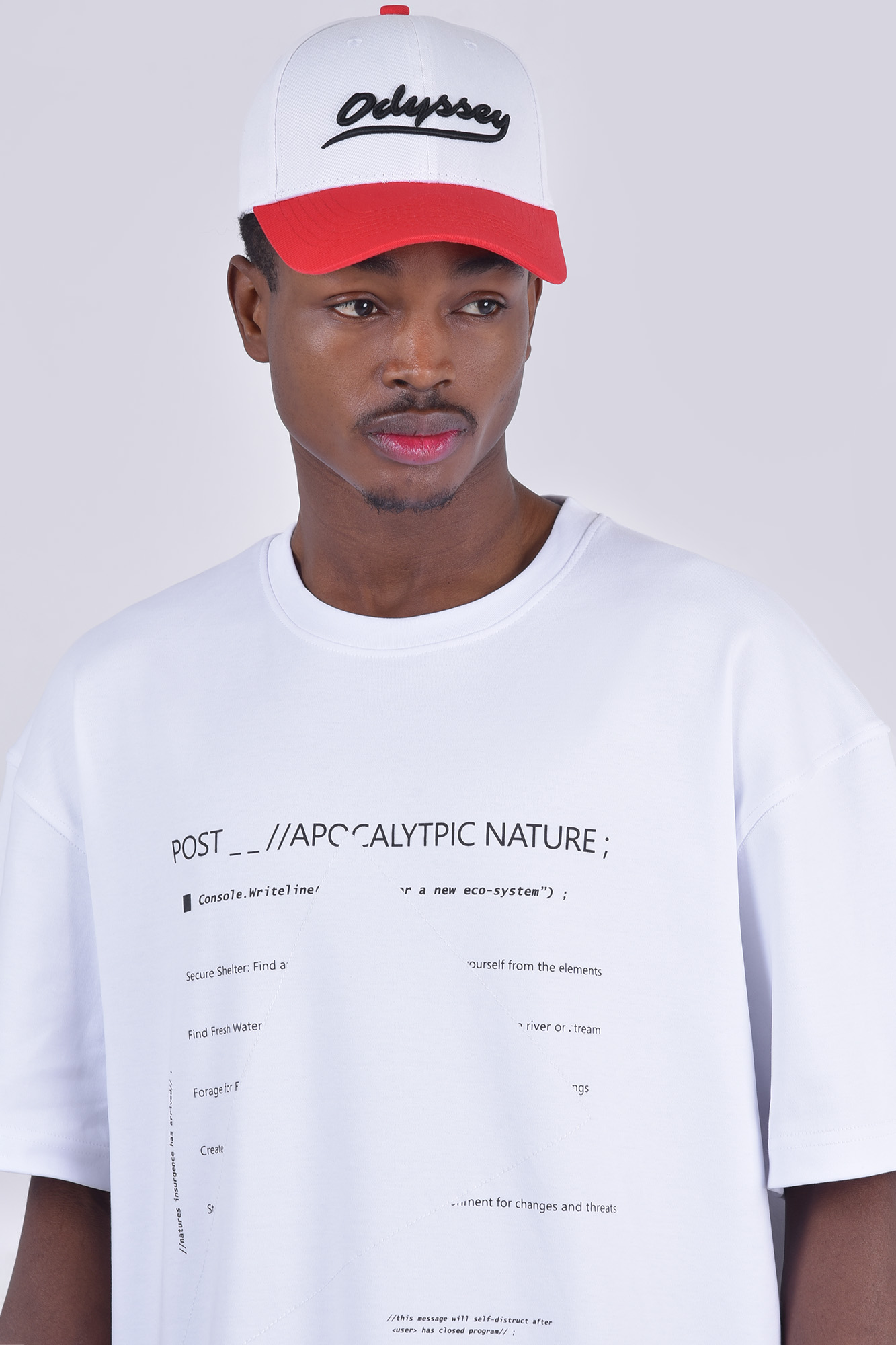 تیشرت آستین کوتاه چاپی