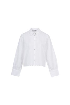 شومیز آستین بلند خامه دوزی