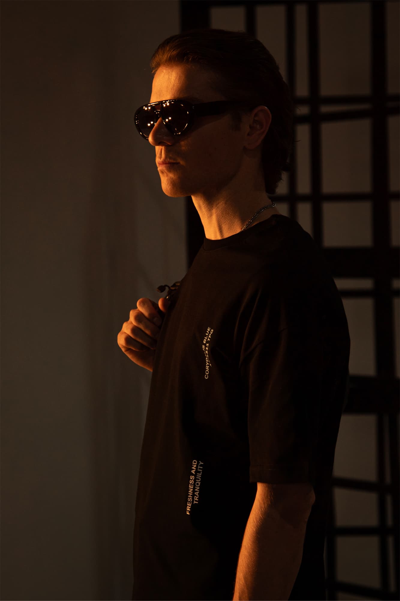 تیشرت آستین کوتاه چاپی